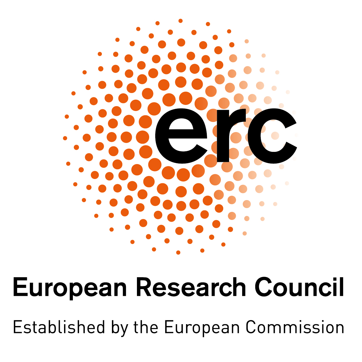 Logo del Consiglio europeo della ricerca - European Research Council (ERC)